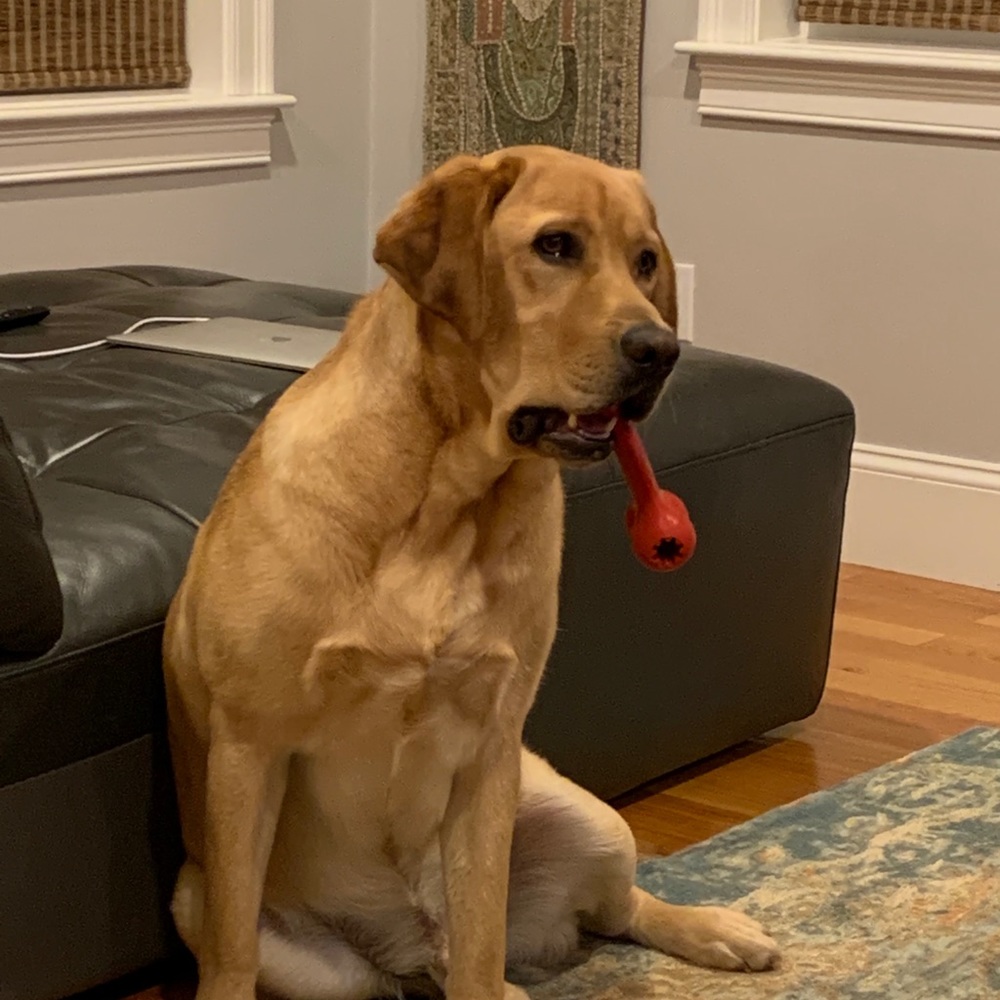 Meet your Posher, Kalina